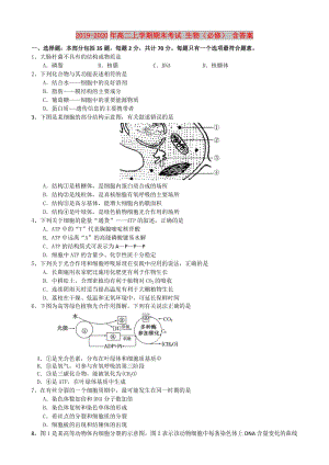 2019-2020年高二上學期期末考試 生物（必修） 含答案.doc