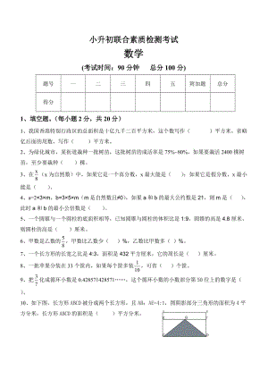 人教版小升初數(shù)學(xué)試題及答案.doc