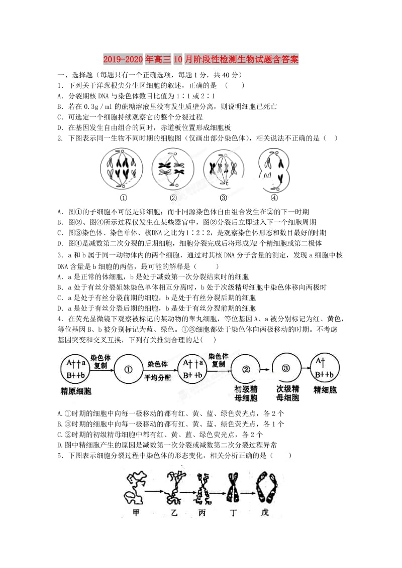 2019-2020年高三10月阶段性检测生物试题含答案.doc_第1页