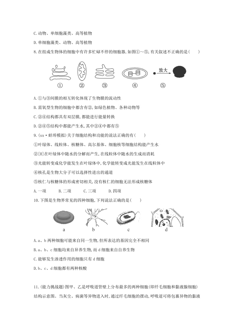 2019-2020年高三生物 细胞器 系统内的分工合作课时作业.doc_第3页