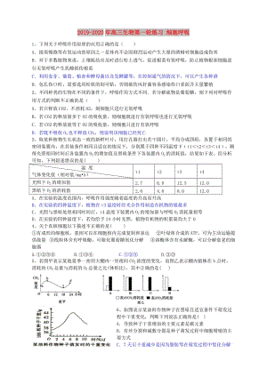 2019-2020年高三生物第一輪練習(xí) 細(xì)胞呼吸.doc