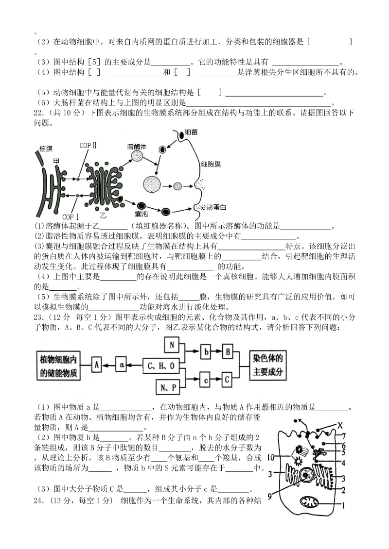 2019-2020年高中生物 细胞结构期末练习二 新人教版必修1.doc_第3页