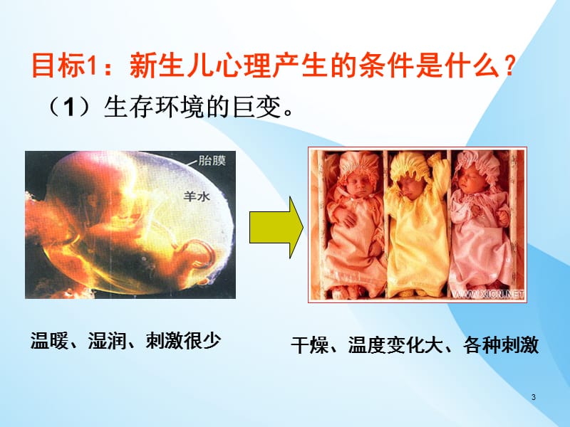 新生儿心理发展 ppt课件_第3页