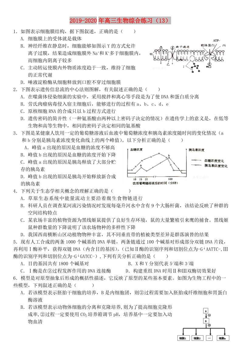 2019-2020年高三生物综合练习（13）.doc_第1页