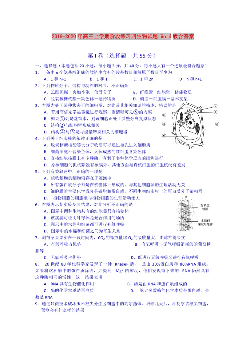 2019-2020年高三上学期阶段练习四生物试题 Word版含答案.doc_第1页