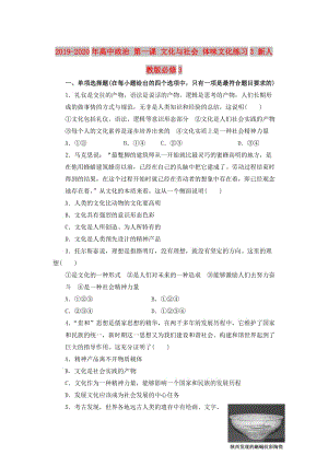 2019-2020年高中政治 第一課 文化與社會 體味文化練習3 新人教版必修3.doc