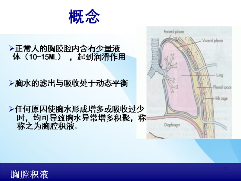 胸腔积液 ppt课件_第3页