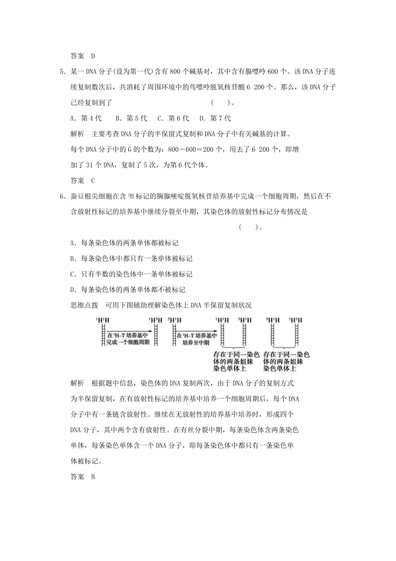 2019-2020年高中生物 4.2DNA的结构和DNA的复制活页规范训练（含解析）苏教版必修2.doc_第2页