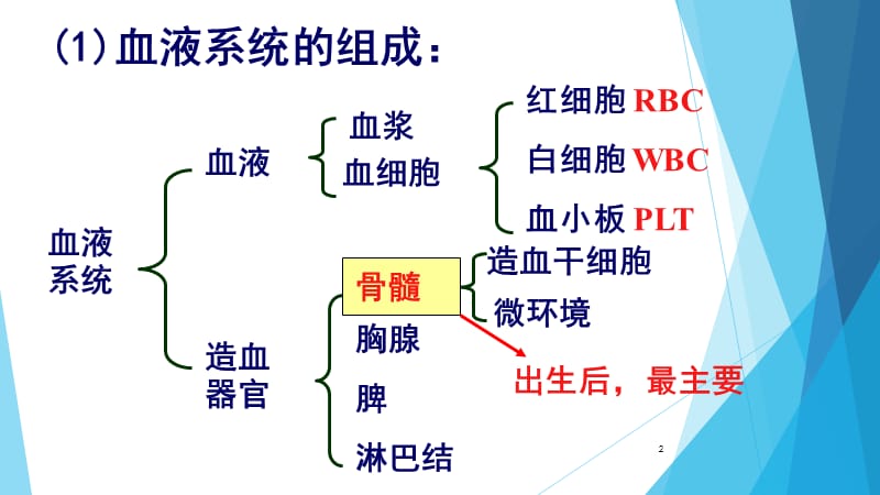 血三系减少病人的护理PPT课件_第2页