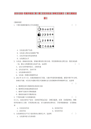 2019-2020年高中政治 第一課 文化與社會 體味文化練習1 新人教版必修3.doc