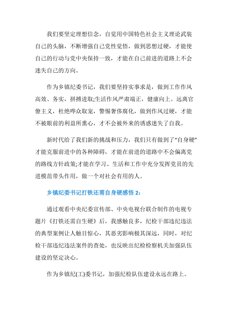 乡镇纪委书记打铁还需自身硬感悟2篇.doc_第2页