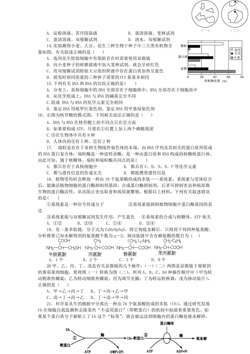 2019-2020年高二生物9月月考试题（奥赛班）.doc_第3页