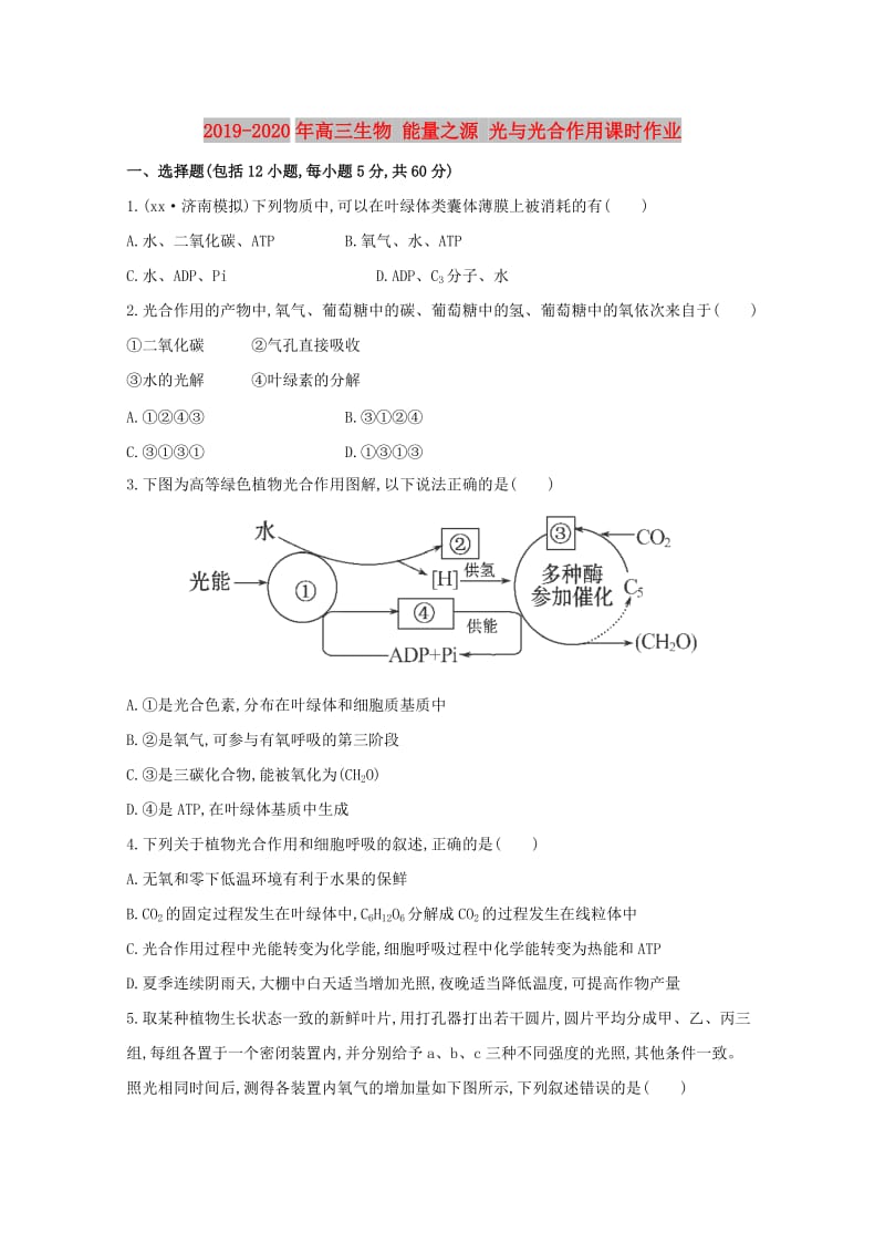 2019-2020年高三生物 能量之源 光与光合作用课时作业.doc_第1页