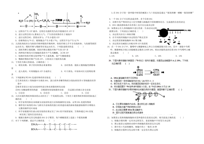 2019-2020年高三生物9月第二次阶段考试题.doc_第2页