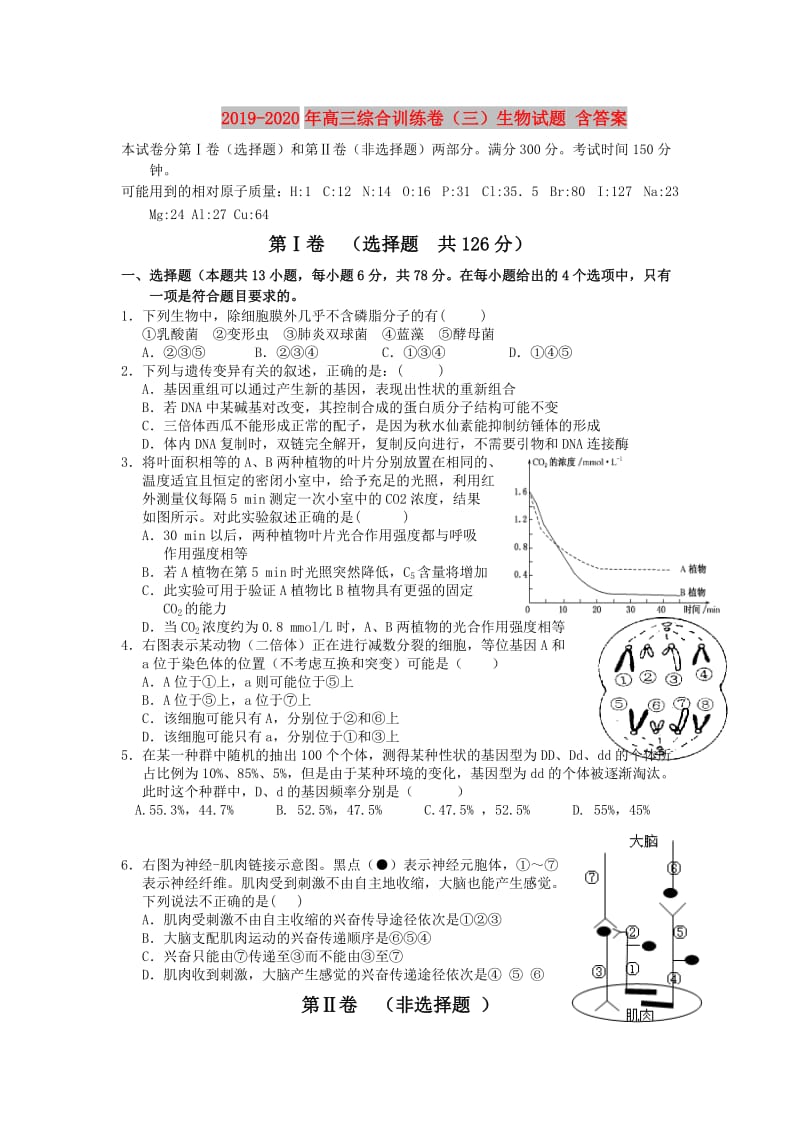 2019-2020年高三综合训练卷（三）生物试题 含答案.doc_第1页