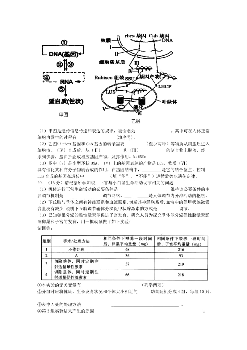 2019-2020年高二理综（生物部分）下学期期末考试试题.doc_第3页