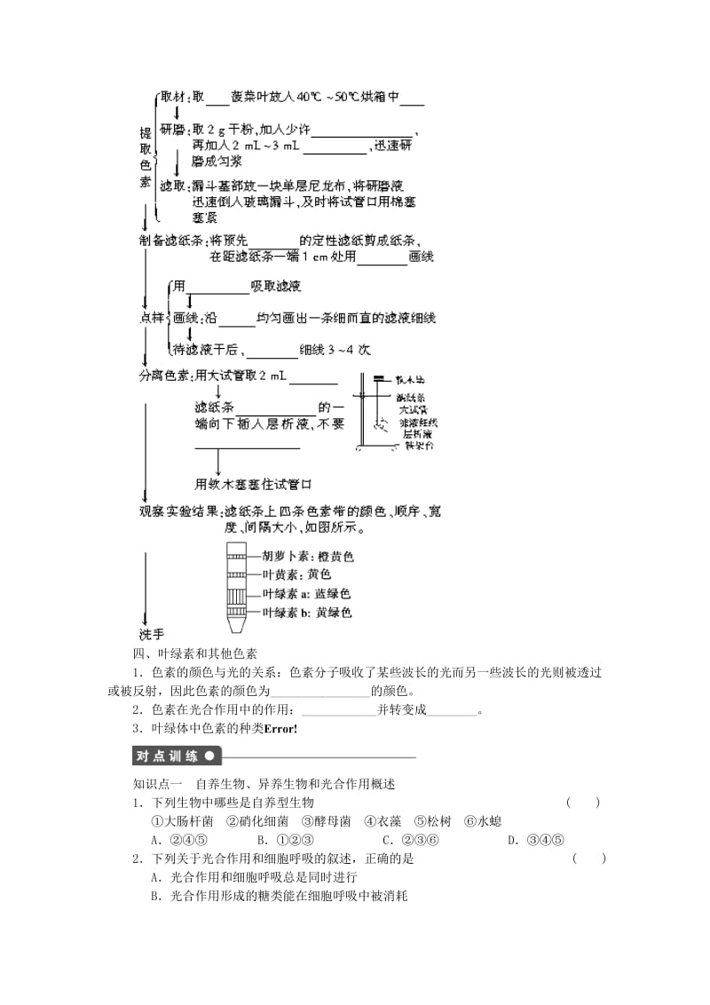 2019-2020年高中生物 第三章 第17课时 光合作用概述课时作业（含解析）浙科版必修1.doc_第2页