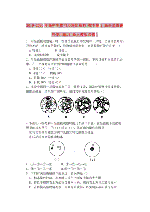 2019-2020年高中生物同步培優(yōu)資料 微專題3 高倍顯微鏡的使用練習 新人教版必修1.doc