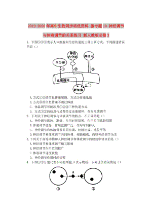 2019-2020年高中生物同步培優(yōu)資料 微專題10 神經(jīng)調(diào)節(jié)與體液調(diào)節(jié)的關(guān)系練習(xí) 新人教版必修3.doc