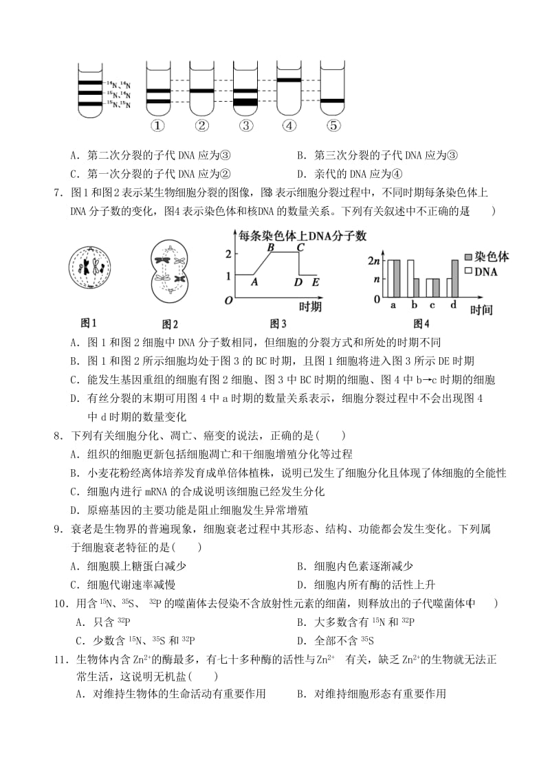 2019-2020年高三生物模拟考试试题（三）.doc_第2页