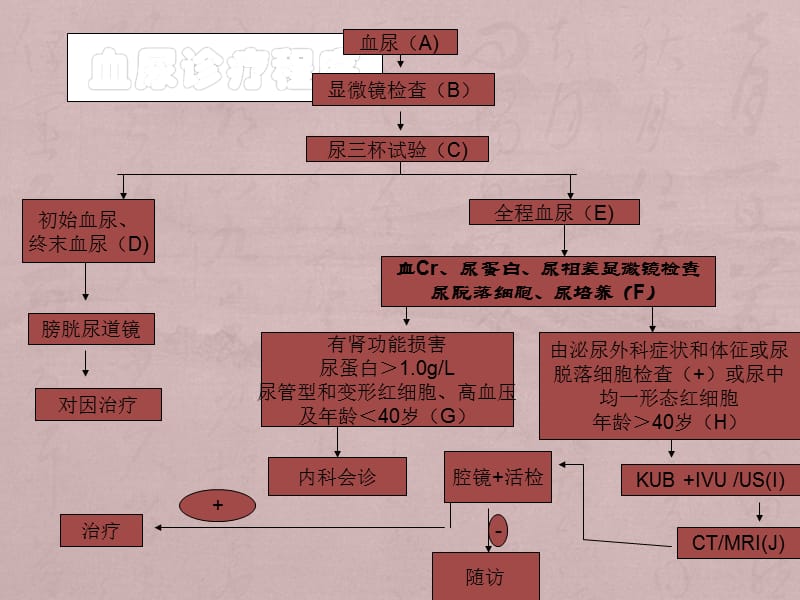 血尿讲座_第2页