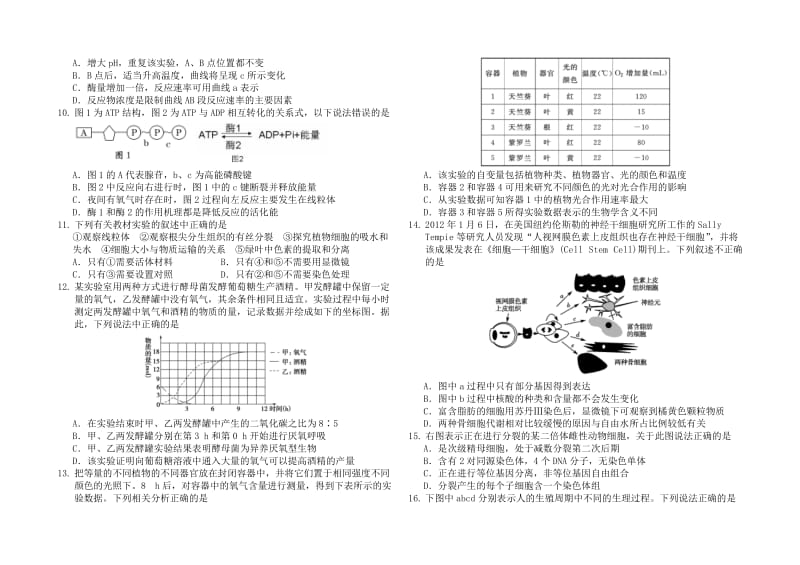 2019-2020年高三质量检测（六）生物试题 含答案.doc_第2页