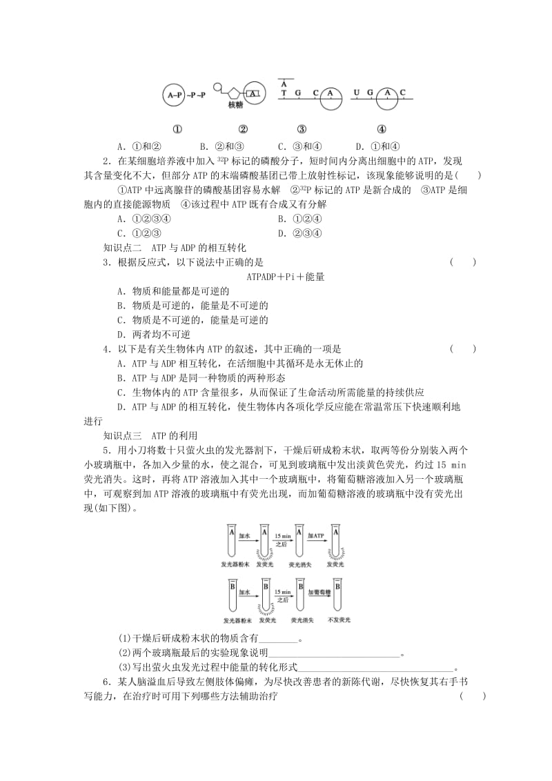 2019-2020年高中生物 第五章 第19课时 细胞的能量“通货”ATP课时作业 新人教版必修1.doc_第2页