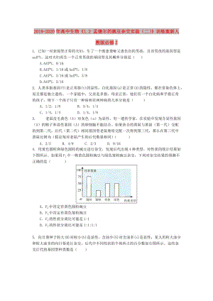 2019-2020年高中生物《1.2 孟德爾的豌豆雜交實(shí)驗(yàn)（二）》訓(xùn)練案新人教版必修2.doc