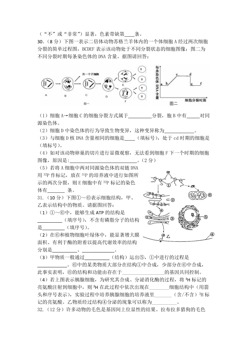 2019-2020年高三10月月考理综-生物试题 含答案.doc_第3页