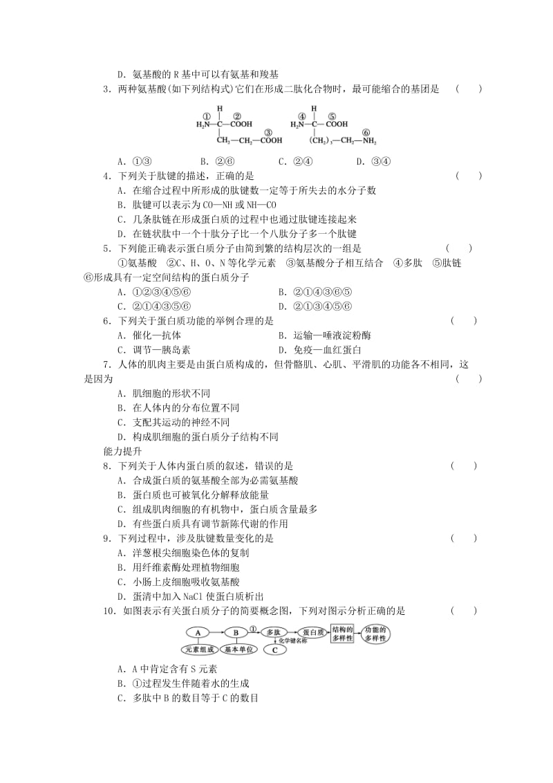 2019-2020年高中生物 第二章 第4课时 生命活动的主要承担者 蛋白质课时作业 新人教版必修1.doc_第3页