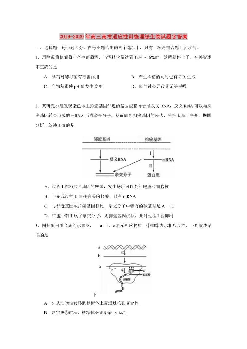 2019-2020年高三高考适应性训练理综生物试题含答案.doc_第1页