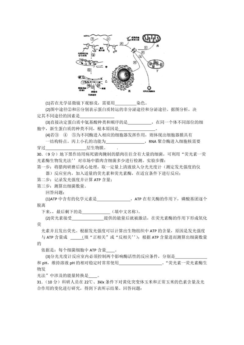 2019-2020年高三上学期10月考试生物试题含答案.doc_第2页