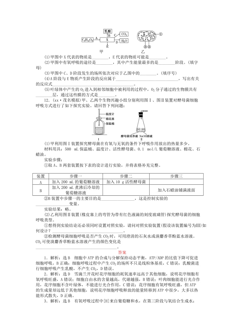 2019-2020年高三生物一轮复习 第三单元 第2讲 细胞呼吸课下限时集训1 新人教版必修1.doc_第3页