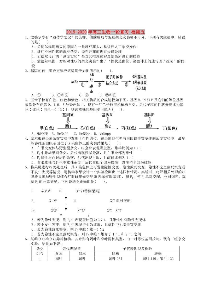 2019-2020年高三生物一轮复习 检测五.doc_第1页