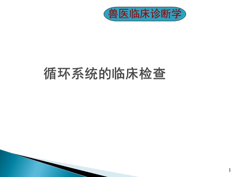 循环系统的临床检查ppt课件_第1页