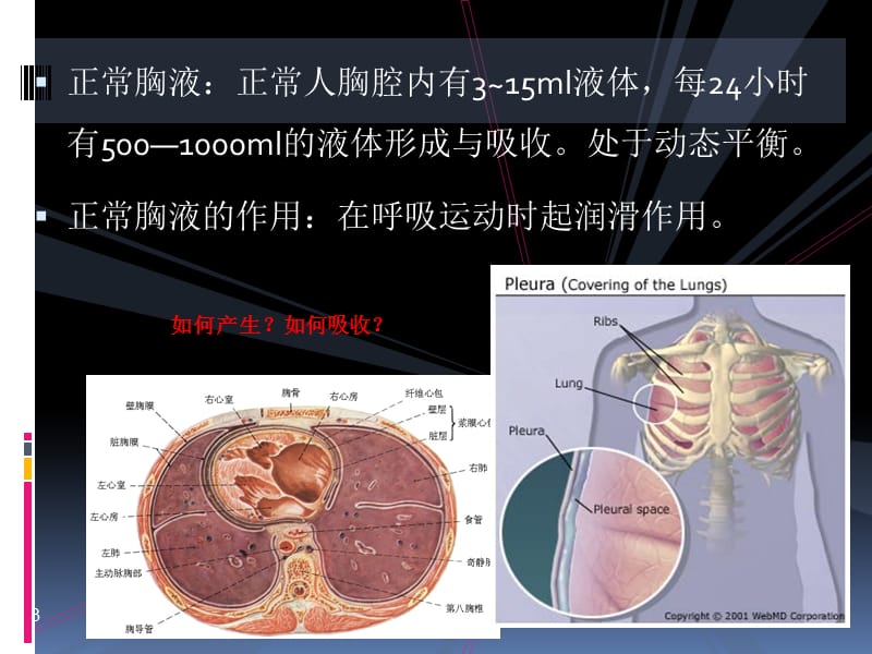 胸腔积液24_第3页