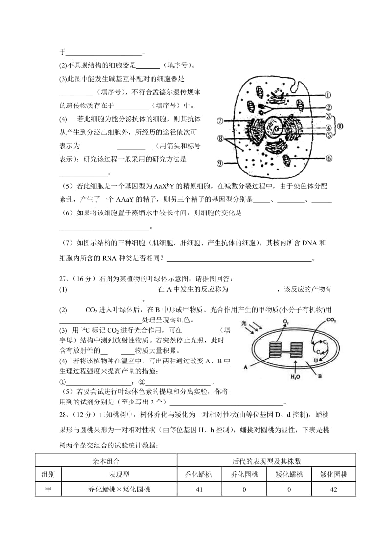 2019-2020年高三第三次考试（生物）.doc_第2页