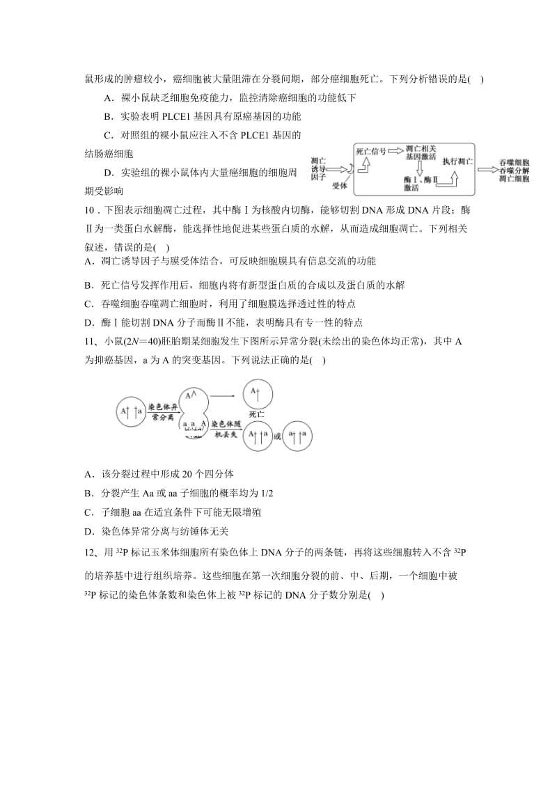 2019-2020年高三上学期（10月）检测生物试题含答案.doc_第3页