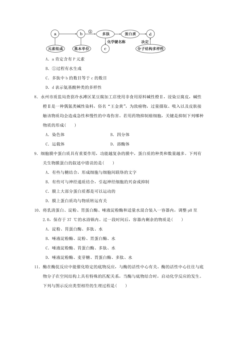 2019-2020年高中学业水平测试模拟生物试题（新人教版必修1）（3）word版含答案.doc_第3页