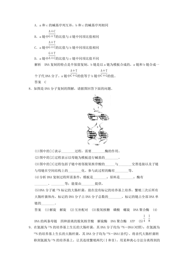 2019-2020年高中生物 课时规范训练 3.3 DNA的复制 新人教版选修2.doc_第3页