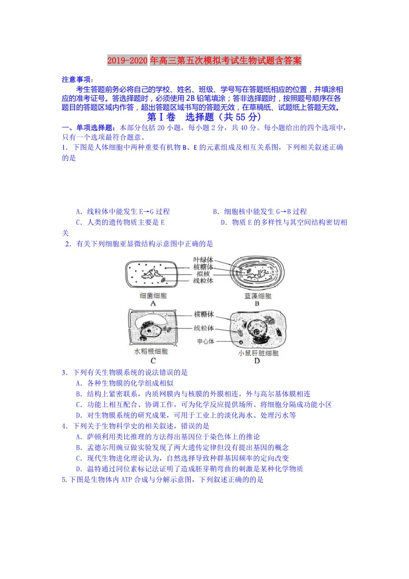 2019-2020年高三第五次模拟考试生物试题含答案.doc_第1页