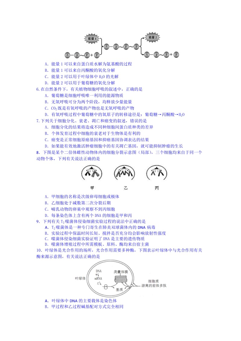 2019-2020年高三第五次模拟考试生物试题含答案.doc_第2页