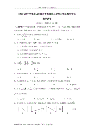 山東濰坊高密2008-2009學年八年級下期末考試試卷及答案.rar