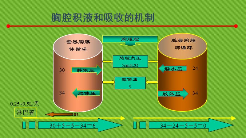 胸膜疾病_第3页