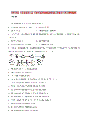 2019-2020年高中生物 3.2月季的花藥培養(yǎng)同步作業(yè)（含解析）新人教版選修1.doc