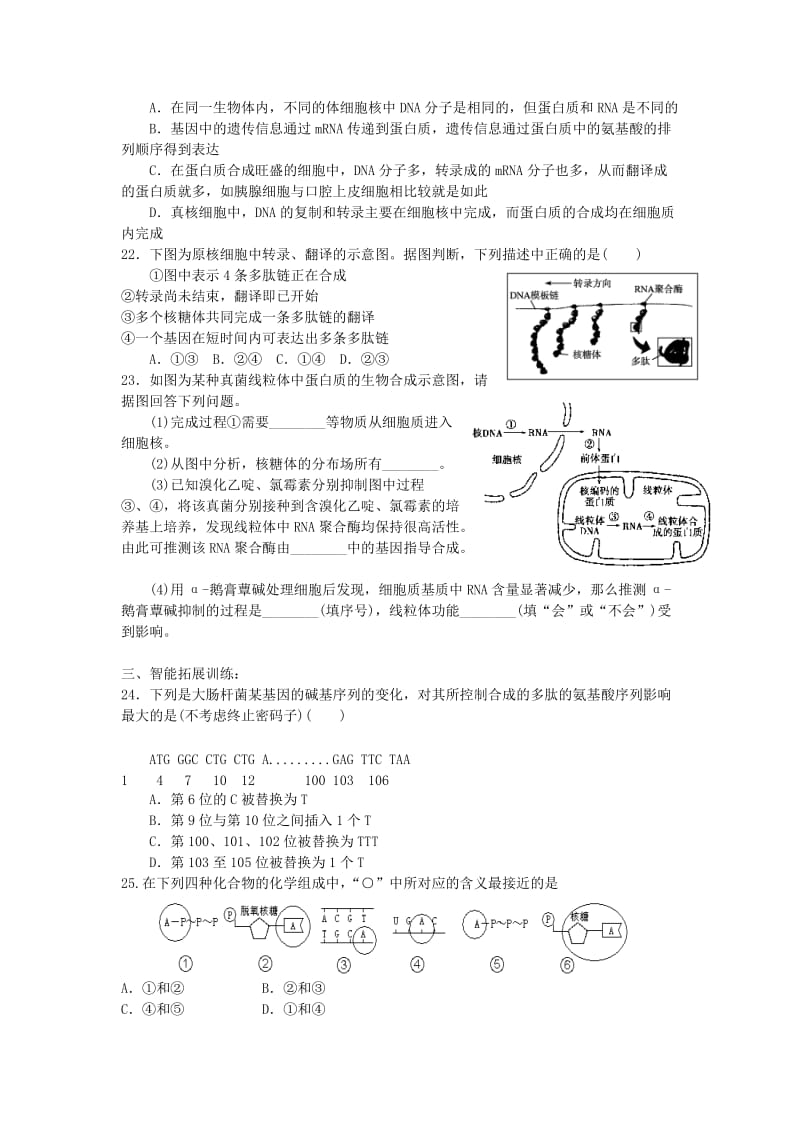 2019-2020年高中生物 第四章 基因的表达 第1节 基因指导蛋白质合成练习 新人教版必修2.doc_第3页