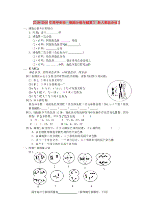 2019-2020年高中生物 細胞分裂專題復(fù)習(xí) 新人教版必修2.doc