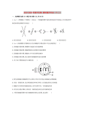 2019-2020年高中生物 課時(shí)提升作業(yè)（十二）.doc