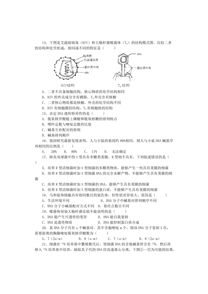 2019-2020年高中生物 第3章 基因的本质单元综合测试 新人教版必修2.doc_第3页