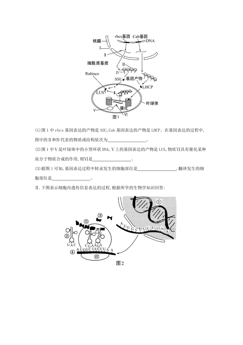 2019-2020年高中生物 单元评估检测（六） .doc_第3页